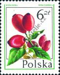 Stamp Poland Catalog number: 2493