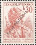 Známka Československo Katalogové číslo: 869