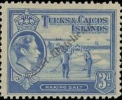 Stamp Turks & Caicos Islands Catalog number: 124