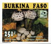 Stamp Burkina Faso | Upper Volta Catalog number: 1385/B