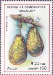 Stamp Madagascar Catalog number: 1364