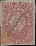 Stamp Newfoundland Catalog number: 14/a