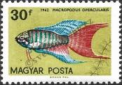 Stamp Hungary Catalog number: 1821/A