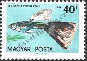 Stamp Hungary Catalog number: 1822/A