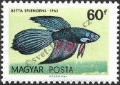 Stamp Hungary Catalog number: 1823/A
