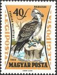Stamp Hungary Catalog number: 1882/A