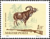 Stamp Hungary Catalog number: 2084/A