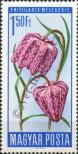 Stamp Hungary Catalog number: 2216/A