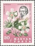 Stamp Hungary Catalog number: 2307/A