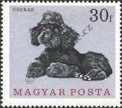Stamp Hungary Catalog number: 2337/A