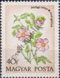 Stamp Hungary Catalog number: 2887/A