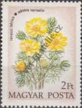 Stamp Hungary Catalog number: 2891/A