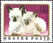 Stamp Hungary Catalog number: 3008/A