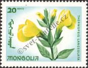 Stamp Mongolia Catalog number: 438