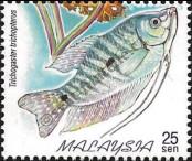 Stamp Malaysia Catalog number: 771/A