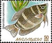 Stamp Malaysia Catalog number: 773/A