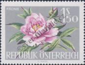 Stamp Austria Catalog number: 1146