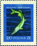 Stamp Poland Catalog number: 1053