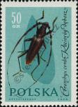 Stamp Poland Catalog number: 1280