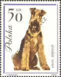 Stamp Poland Catalog number: 1377