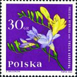 Stamp Poland Catalog number: 1542