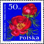 Stamp Poland Catalog number: 1544