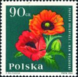 Stamp Poland Catalog number: 1546