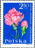 Stamp Poland Catalog number: 1550