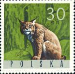 Stamp Poland Catalog number: 1636