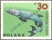 Stamp Poland Catalog number: 1656