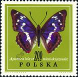 Stamp Poland Catalog number: 1801