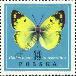 Stamp Poland Catalog number: 1803