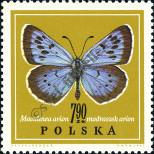 Stamp Poland Catalog number: 1805