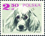 Stamp Poland Catalog number: 1902