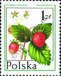 Stamp Poland Catalog number: 2489