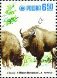Stamp Poland Catalog number: 2765