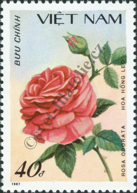 Catalog number: 1894