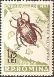 Stamp Romania Catalog number: 1588
