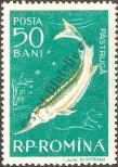 Stamp Romania Catalog number: 1689