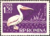 Stamp Romania Catalog number: 1691