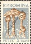 Stamp Romania Catalog number: 1721