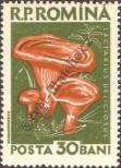 Stamp Romania Catalog number: 1724