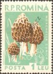 Stamp Romania Catalog number: 1727