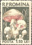 Stamp Romania Catalog number: 1728