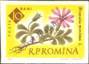 Stamp Romania Catalog number: 2020/B
