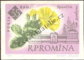 Stamp Romania Catalog number: 2023/B