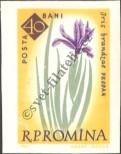 Stamp Romania Catalog number: 2024/B
