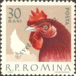 Stamp Romania Catalog number: 2146