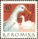 Stamp Romania Catalog number: 2147