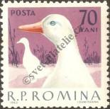 Stamp Romania Catalog number: 2149